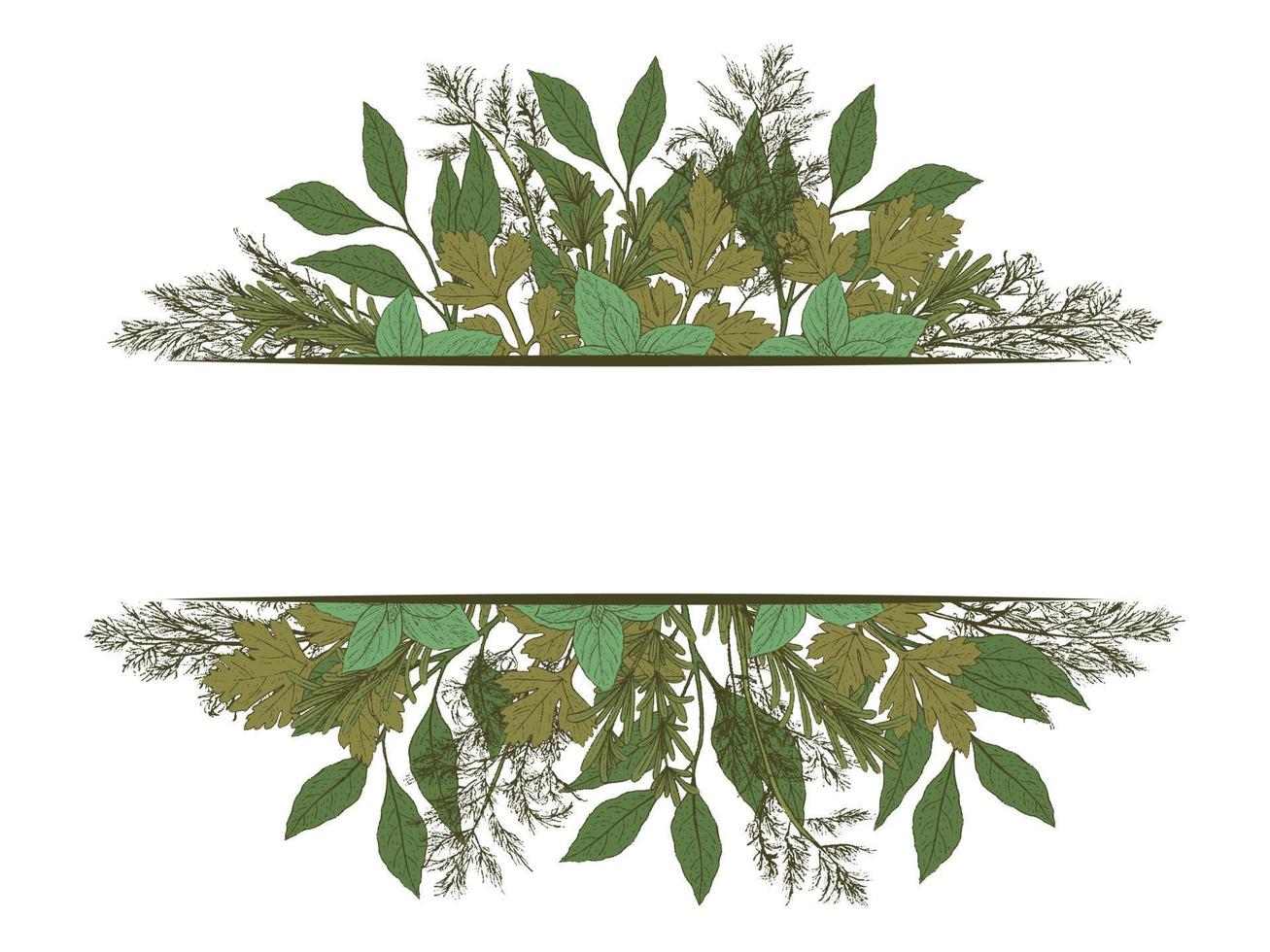Vintage hand drawn vector frame with green spice, herbs, leaves. Place for text. Template for design. Vector illustration. Doodle monochrome outline ink sketch.