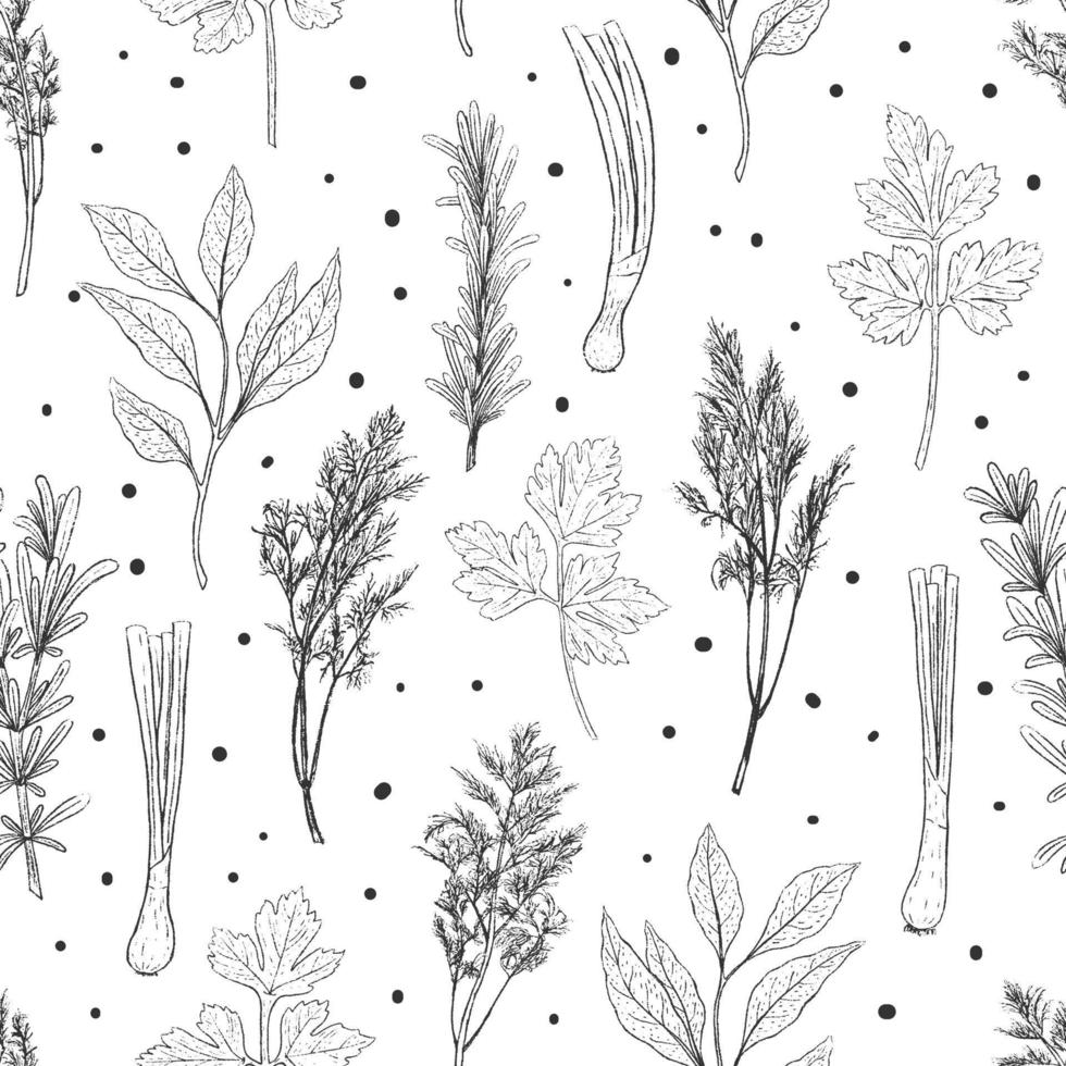 monochrome seamless pattern from herbs. Laurel, rosemary, dill, parsley, basil. Black and white endless texture. Vector illustration. Vintage.