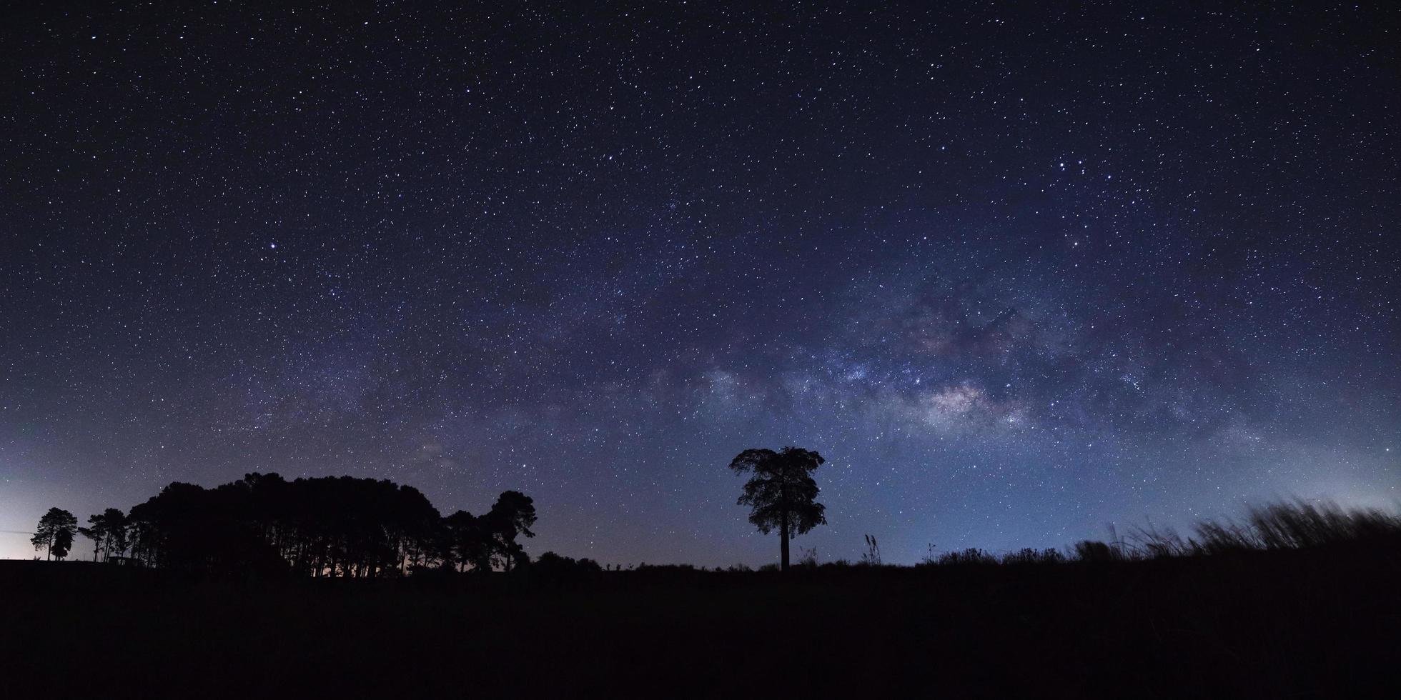 panorama de la vía láctea y la silueta del árbol en khao kho, phetchabun, tailandia, fotografía de larga exposición con grano foto