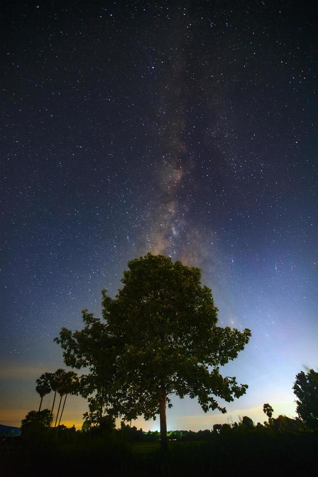 Milky way galaxy with stars over tree, Long exposure photograph, with grain. photo