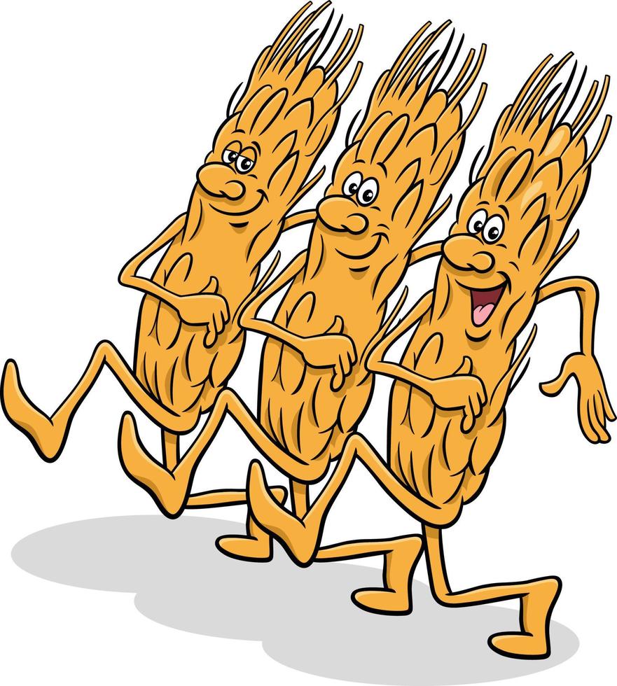 cartoon ears of grain food comic character marching vector