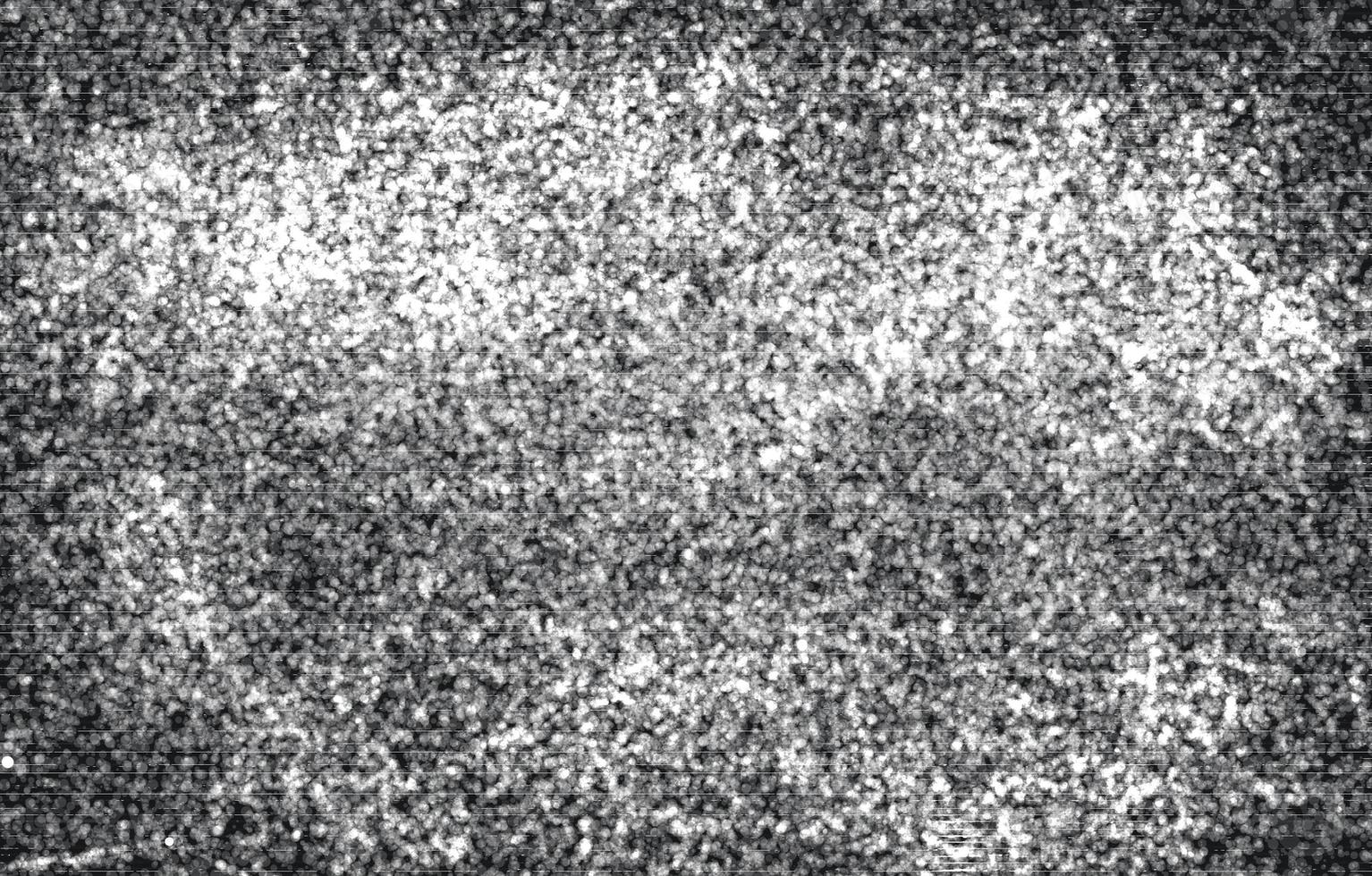 Black and white grunge. Distress overlay texture. Abstract surface dust and rough dirty wall background concept.Abstract grainy background, old painted wall. photo