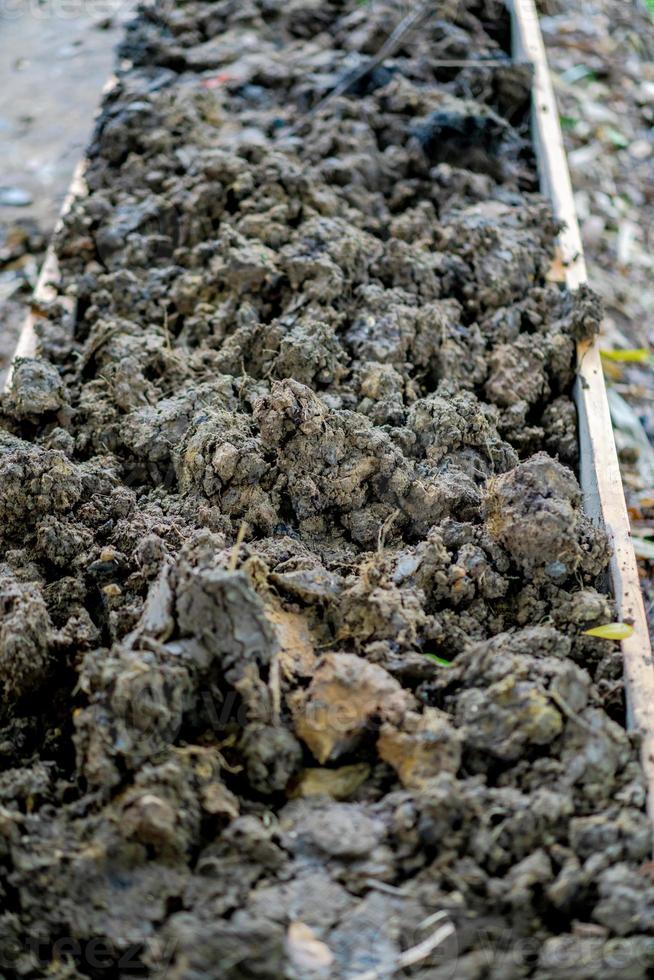 soil in rectangle flowerpot is prepared for homegrown vegetable planting in the garden. photo