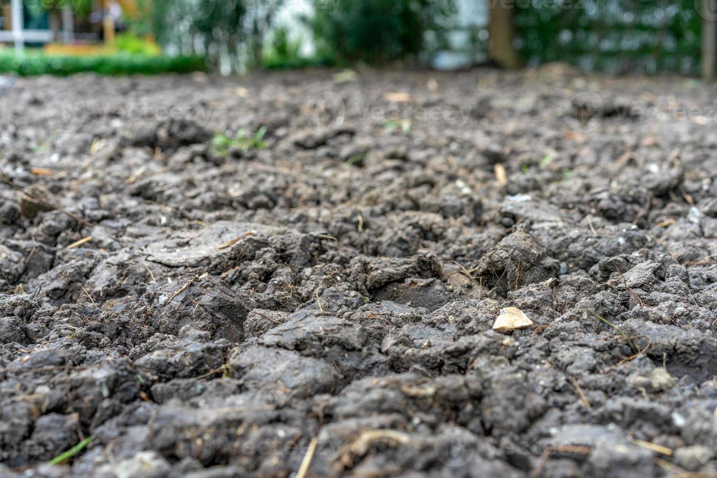 close up black brown soil for reuse and replantation. photo