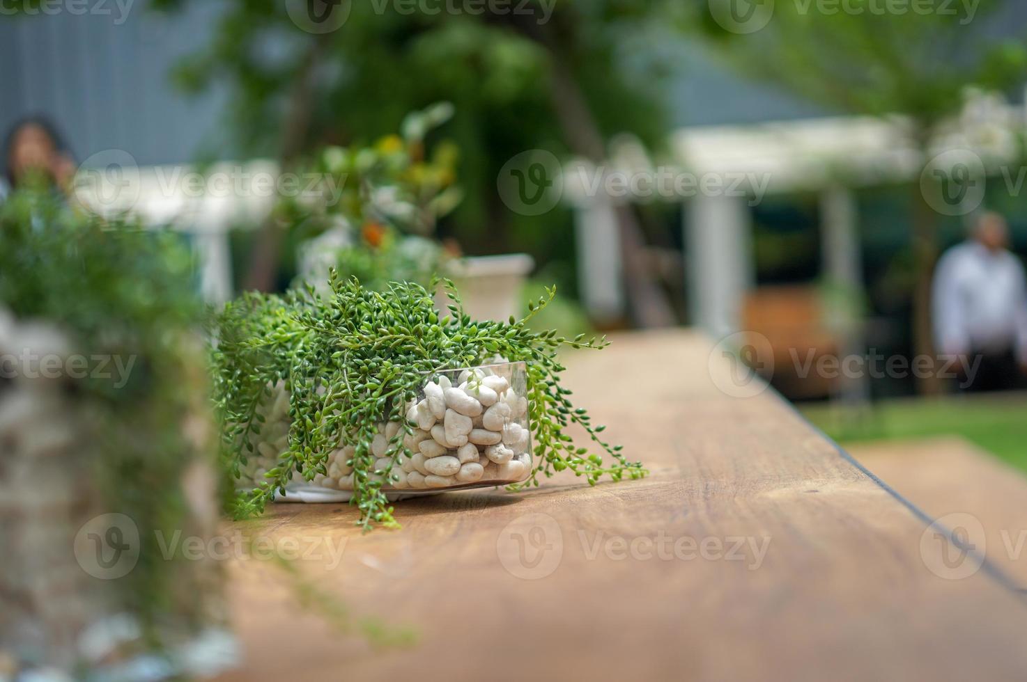 Decoration tree in the pot on the wood - steel tables in the garden. photo