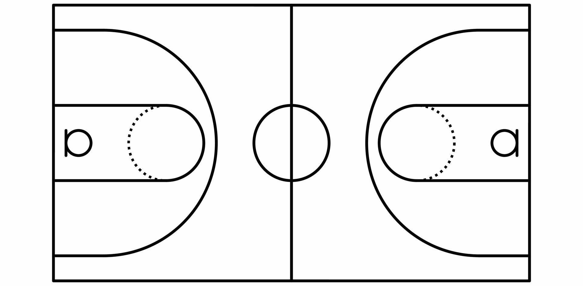 thin line basketball court vector isolated on white background