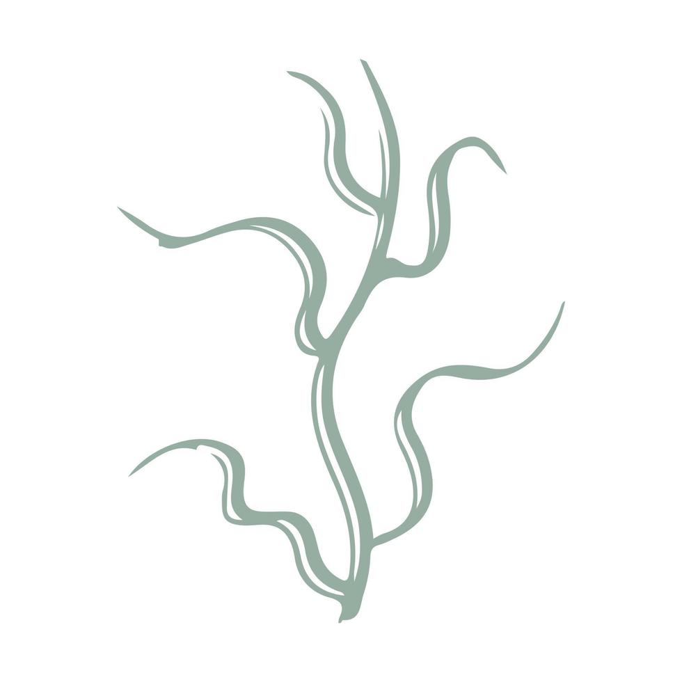 Botanical plant abstract hand drawn vector