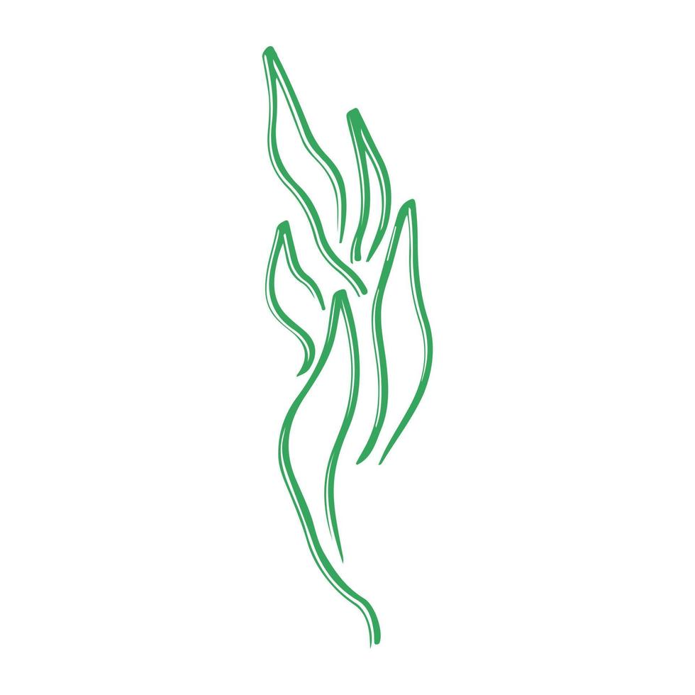 Botanical plant abstract hand drawn vector