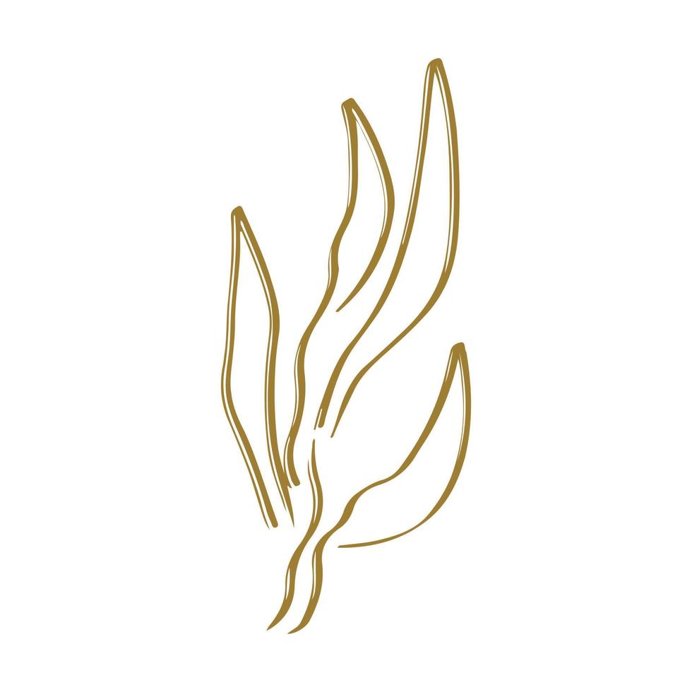 Botanical plant abstract hand drawn vector