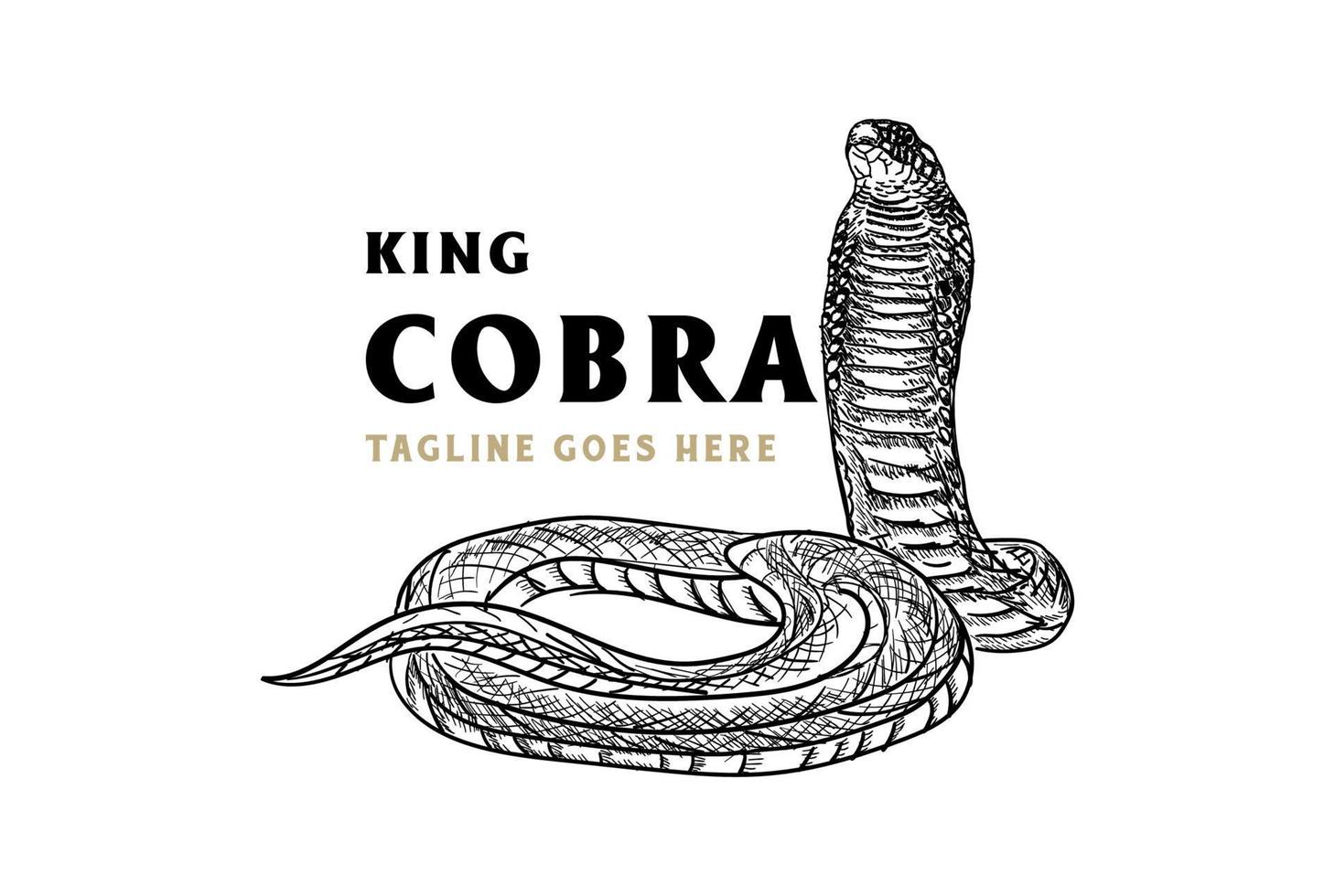Vintage Hand Draw King Cobra or Black Mamba Snake for Tattoo Logo Design vector