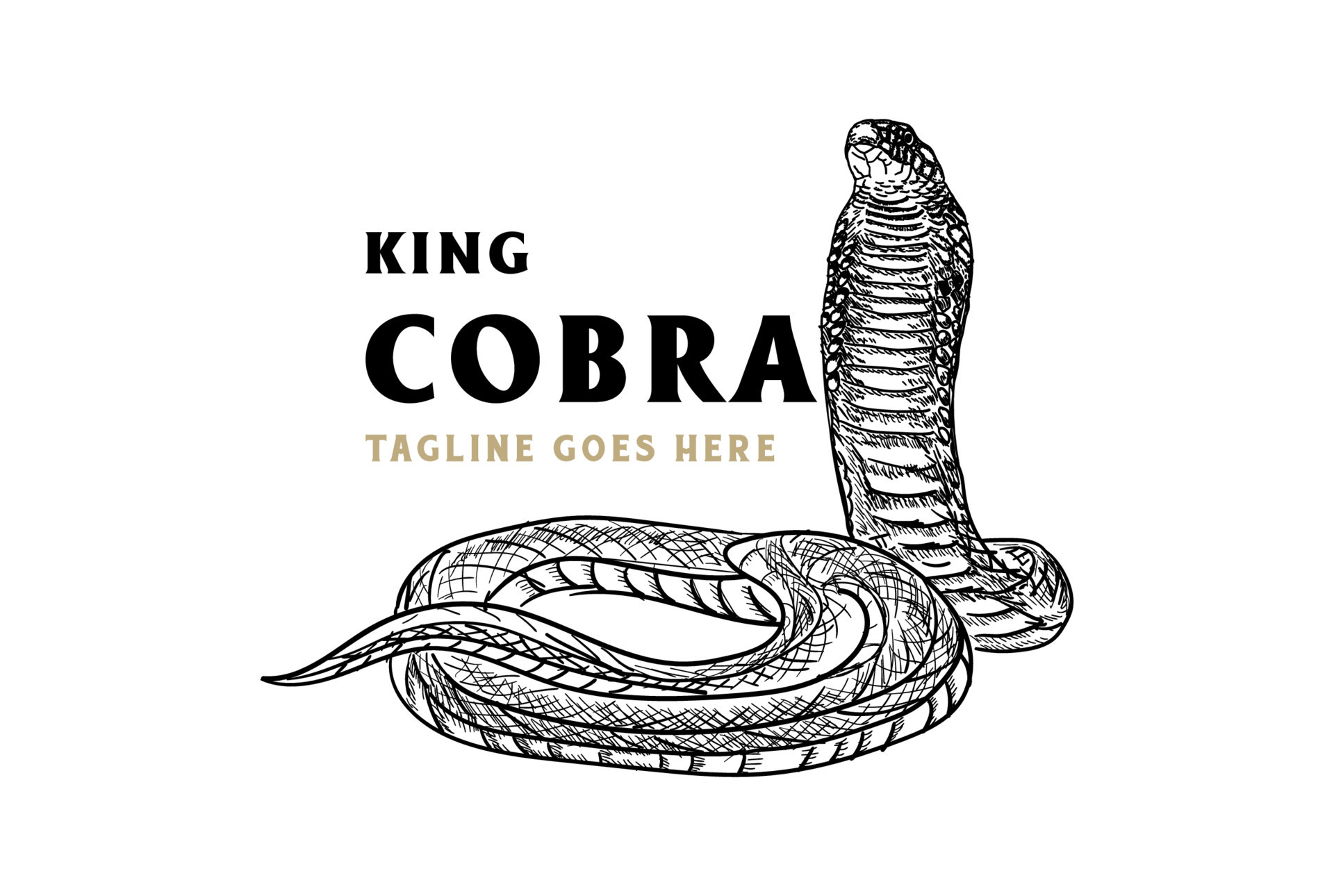 Vintage Hand Draw King Cobra or Black Mamba Snake for Tattoo Logo Design  11062098 Vector Art at Vecteezy
