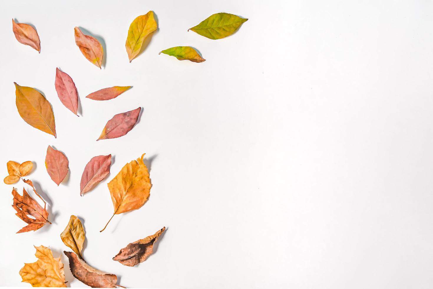 Autumn composition. autumn leaves on bright blue pastel background. Flat lay, top view copy space. photo