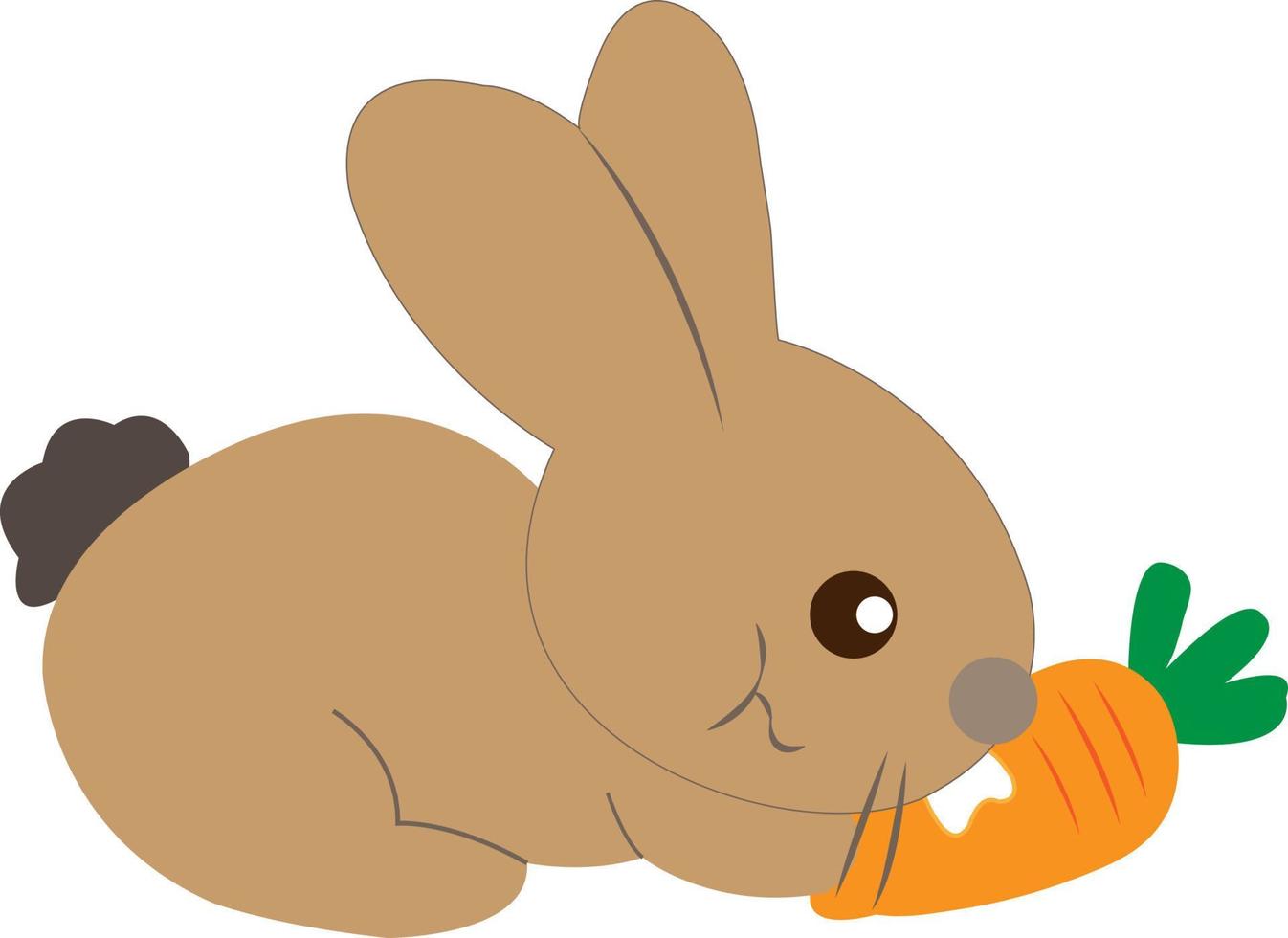 Brown rabbit eating carrots isolated on white background. 11062197 Vector  Art at Vecteezy