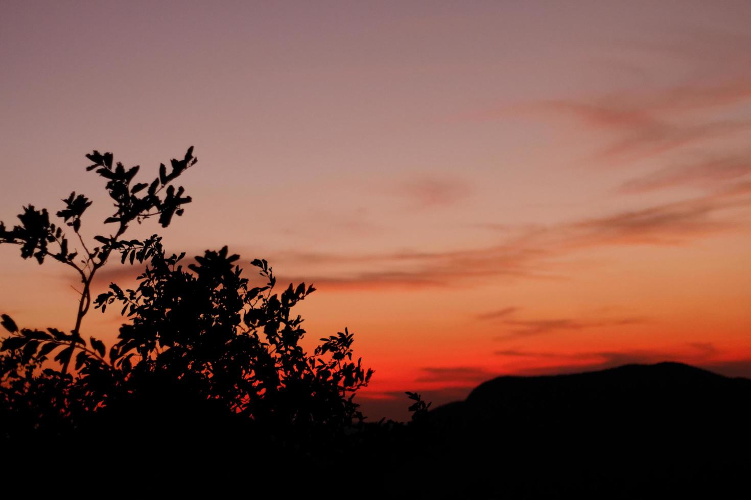 hermoso cielo al atardecer foto