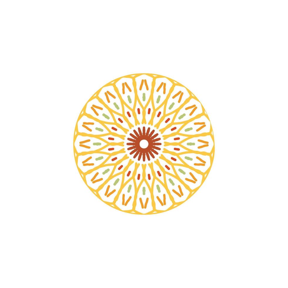 mandala design with abstract shape vector
