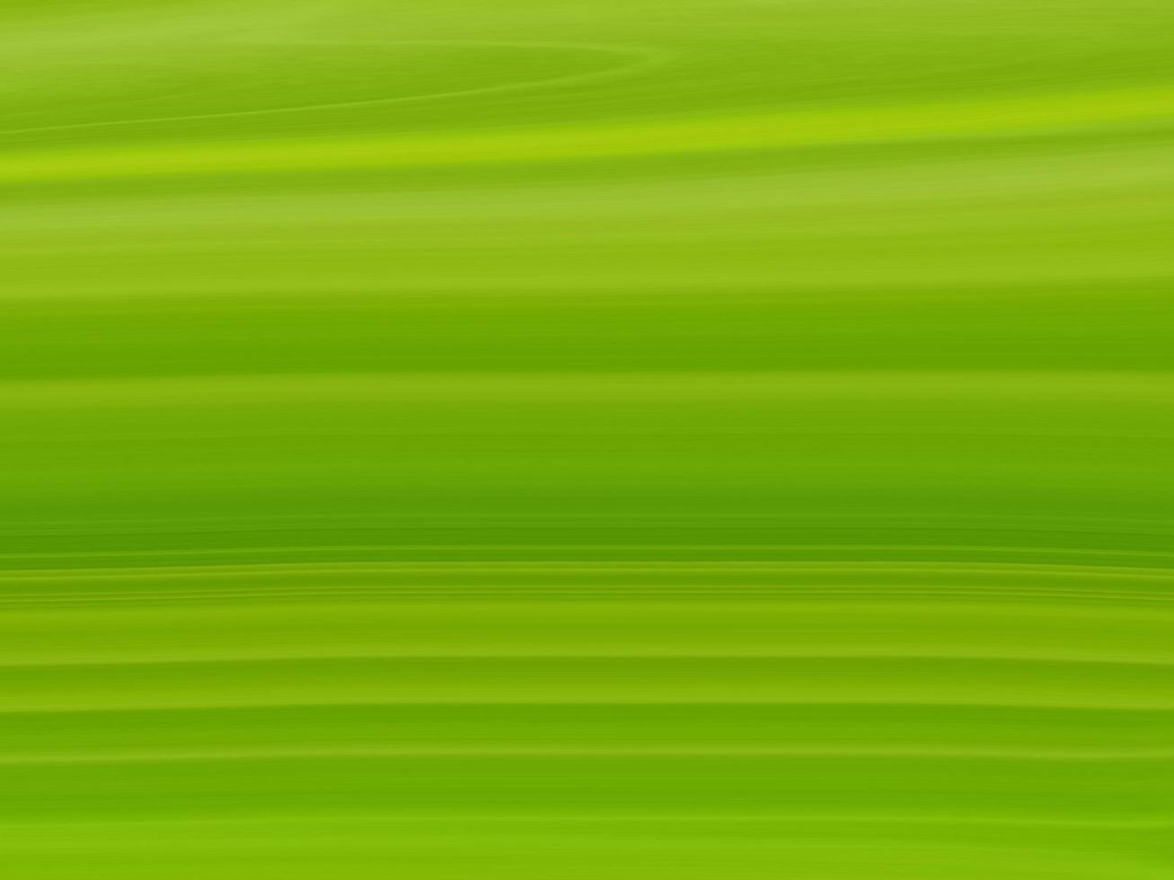 abstract fresh natural banana leave background photo