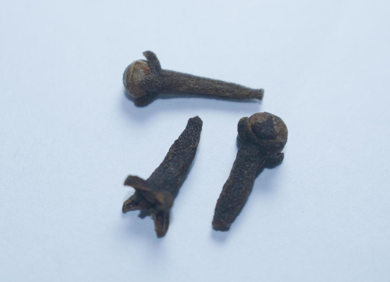 Cloves are the aromatic flower buds of a tree in the family Myrtaceae, Syzygium aromaticum. photo