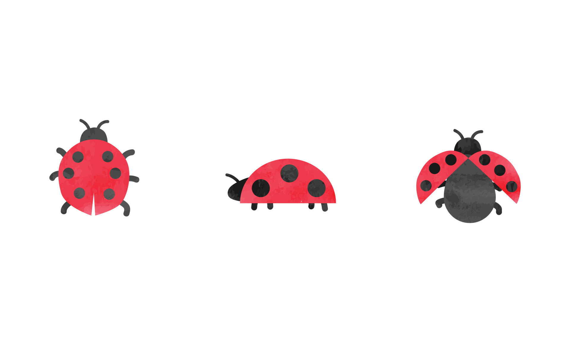 Simple ladybug watercolor drawing. Ladybugs set vector illustration  isolated on white background. Cute ladybug clipart. Hand drawn cartoon  style 11064986 Vector Art at Vecteezy
