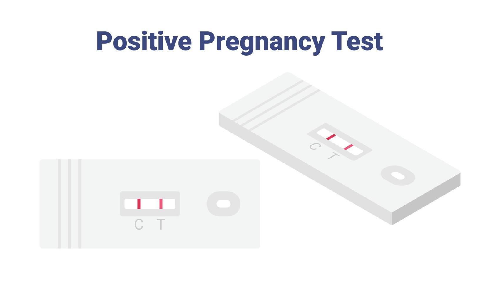 Rectangle positive pregnancy test result isometric vector illustration. Pregnancy positive test with 2 stripes flat design clipart. Pregnant result. Female reproductive, planning of pregnancy concept