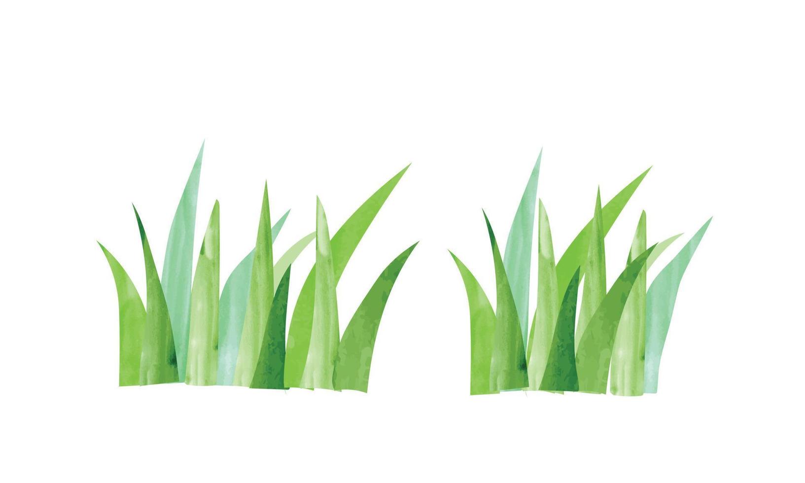 Simple green grass watercolor painting illustration isolated on white background. Floral background hand drawn clipart. Cartoon garden grass drawing vector