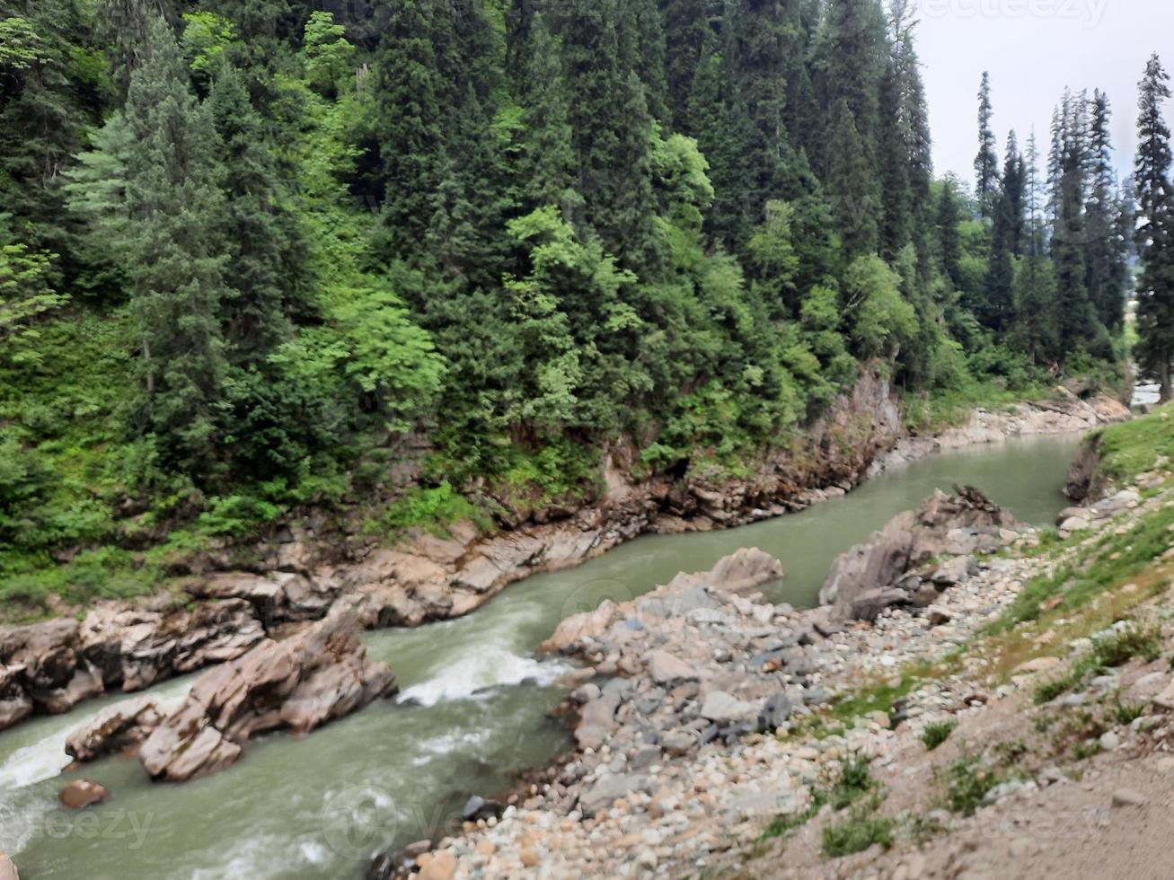 Kashmir is the most beautiful region in the world which is famous for its green valleys, beautiful trees, high mountains and flowing springs. photo