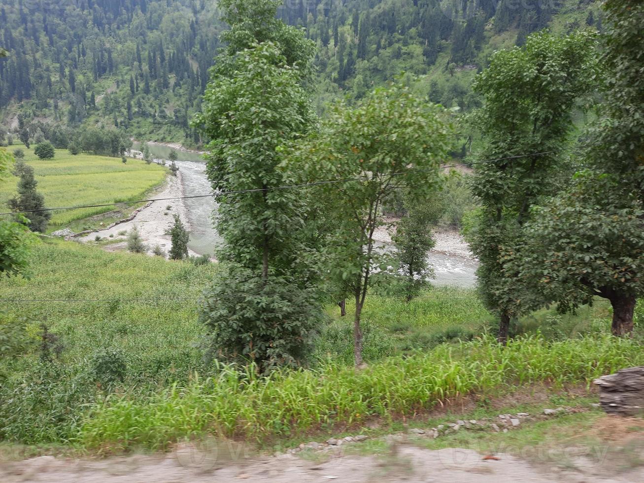 Kashmir is the most beautiful region in the world which is famous for its green valleys, beautiful trees, high mountains and flowing springs. photo