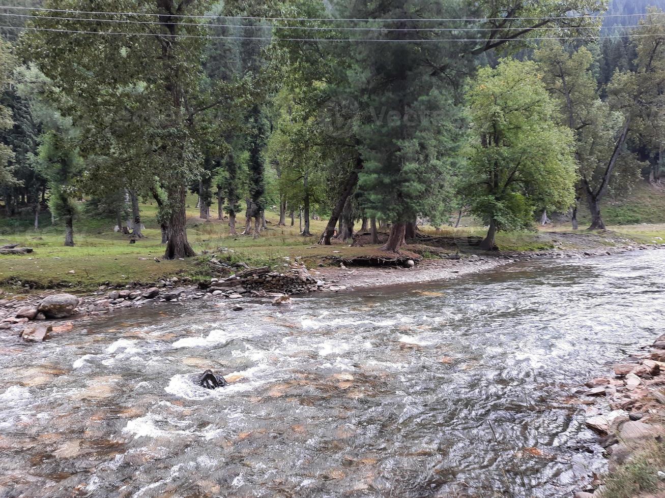 Kashmir is the most beautiful region in the world which is famous for its green valleys, beautiful trees, high mountains and flowing springs. photo