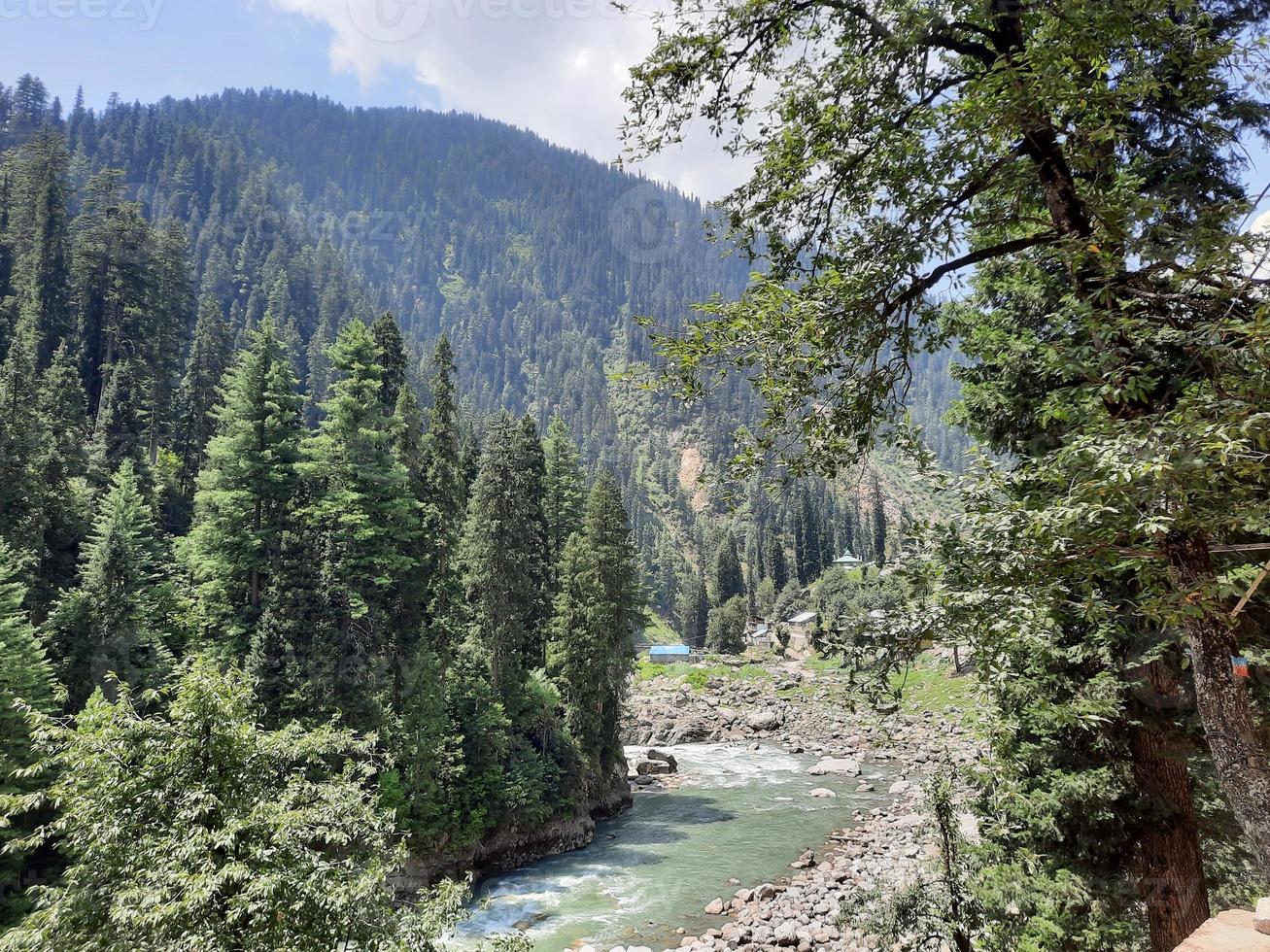 Kashmir is the most beautiful region in the world which is famous for its green valleys, beautiful trees, high mountains and flowing springs. photo