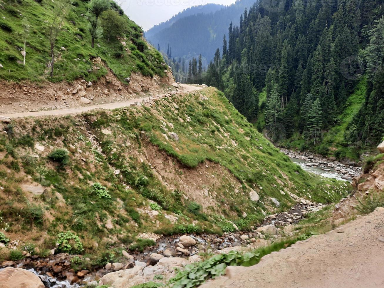 Kashmir is the most beautiful region in the world which is famous for its green valleys, beautiful trees, high mountains and flowing springs. photo