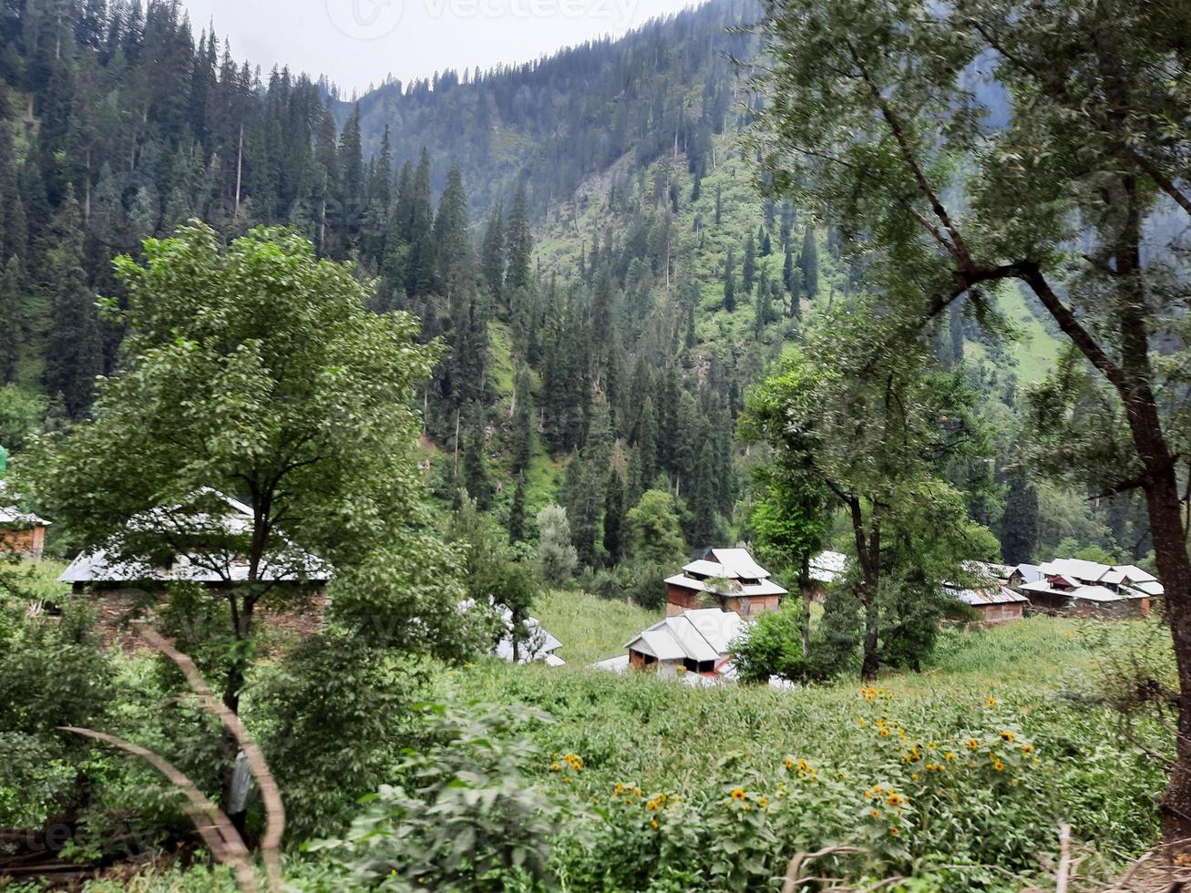 Kashmir is the most beautiful region in the world which is famous for its green valleys, beautiful trees, high mountains and flowing springs. photo