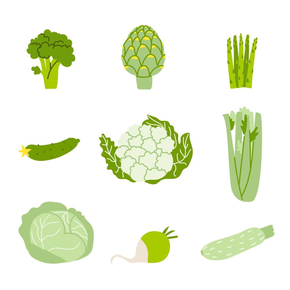 conjunto de vegetales verdes. ilustración vectorial de alimentos saludables en color verde aislado sobre fondo blanco. Verduras naturales ecológicas llenas de vitaminas en diseño plano. vector