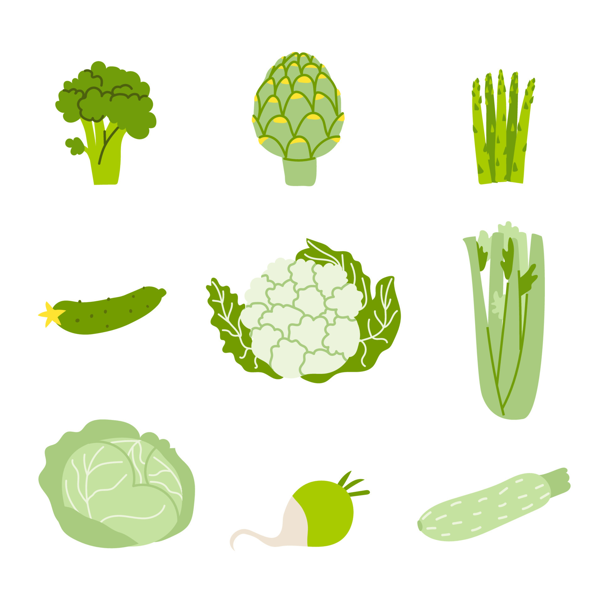 Set of green vegetables. Vector illustration of healthy food in green color  isolated on white background. Natural eco-friendly vegetables full of  vitamins in flat design. 11068418 Vector Art at Vecteezy