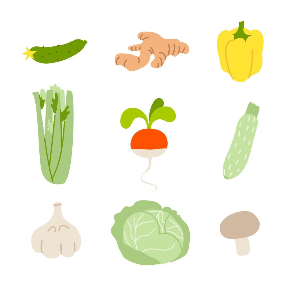 conjunto de diferentes verduras. colección de verduras de dibujos animados sobre un fondo blanco. ilustración vectorial de plantas crucíferas y vegetales de raíz aisladas. vector