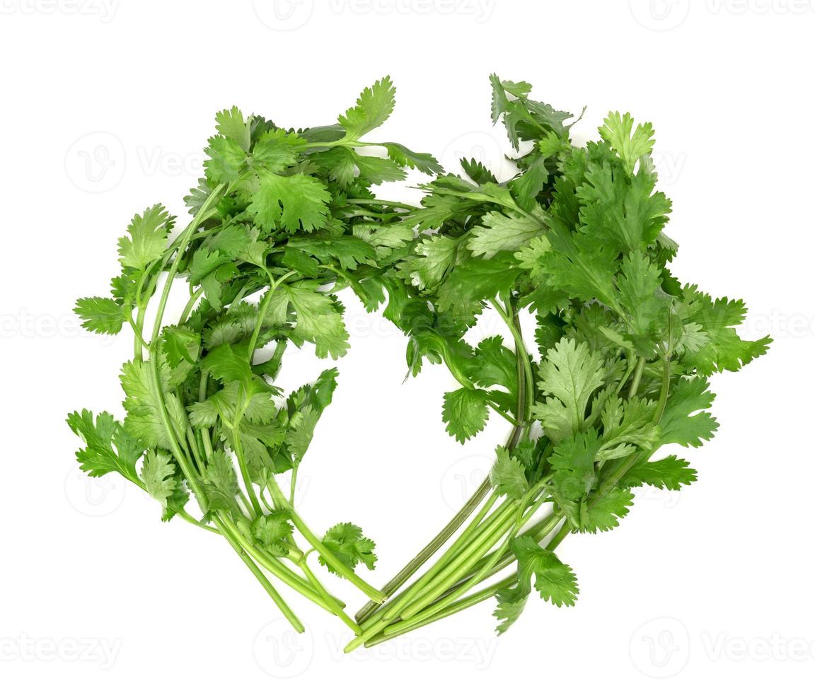 coriander isolated on white background photo