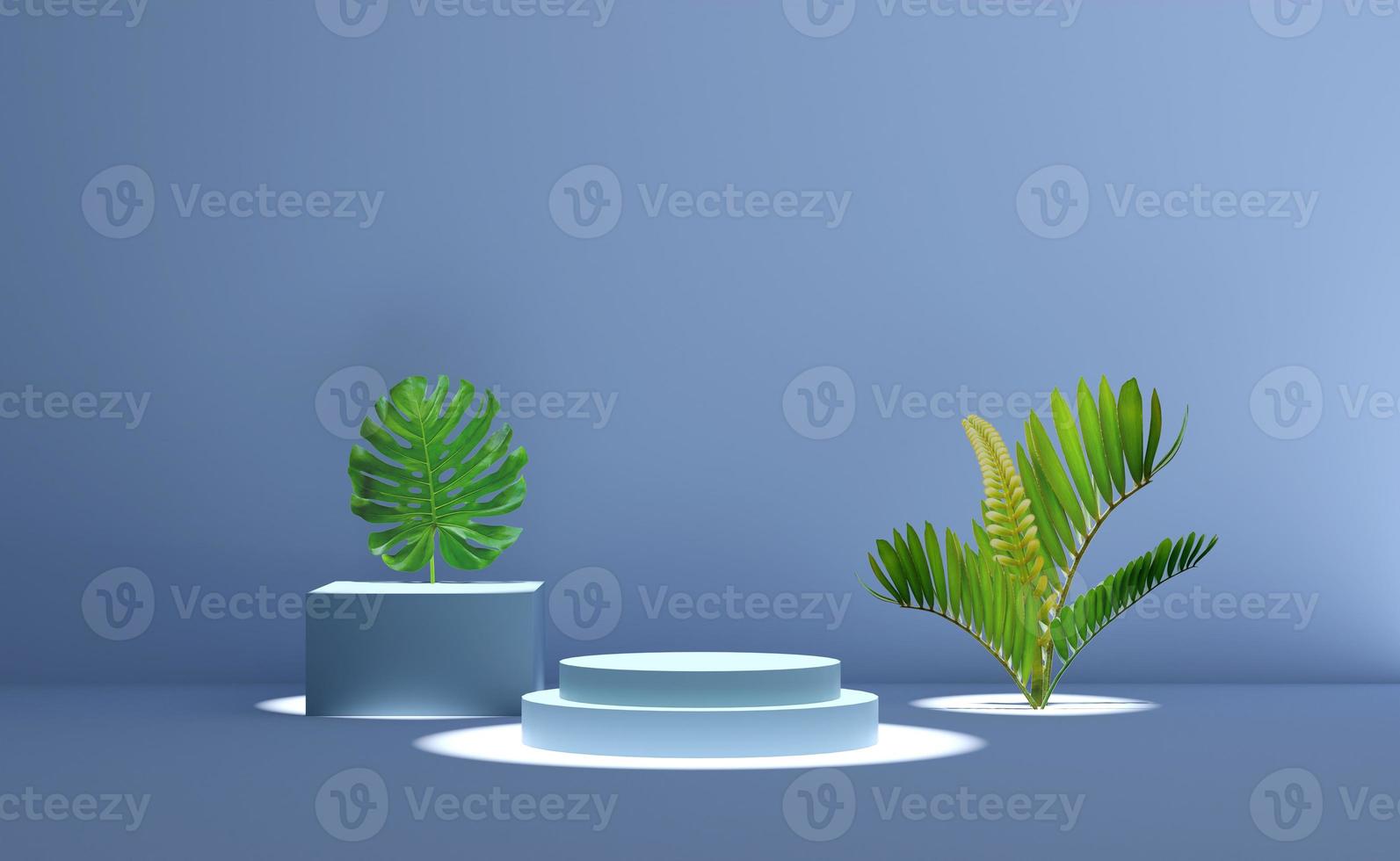 3d gray cylinder stage podium empty with palm leaf shadow, abstract geometric cosmetic showcase pedestal grey background. minimal modern scene, 3d render illustration photo