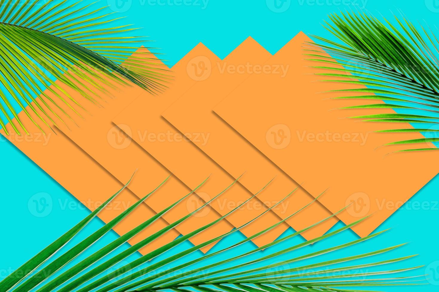 Green palm leaves pattern for nature concept,tropical leaf on orange and teal paper background photo