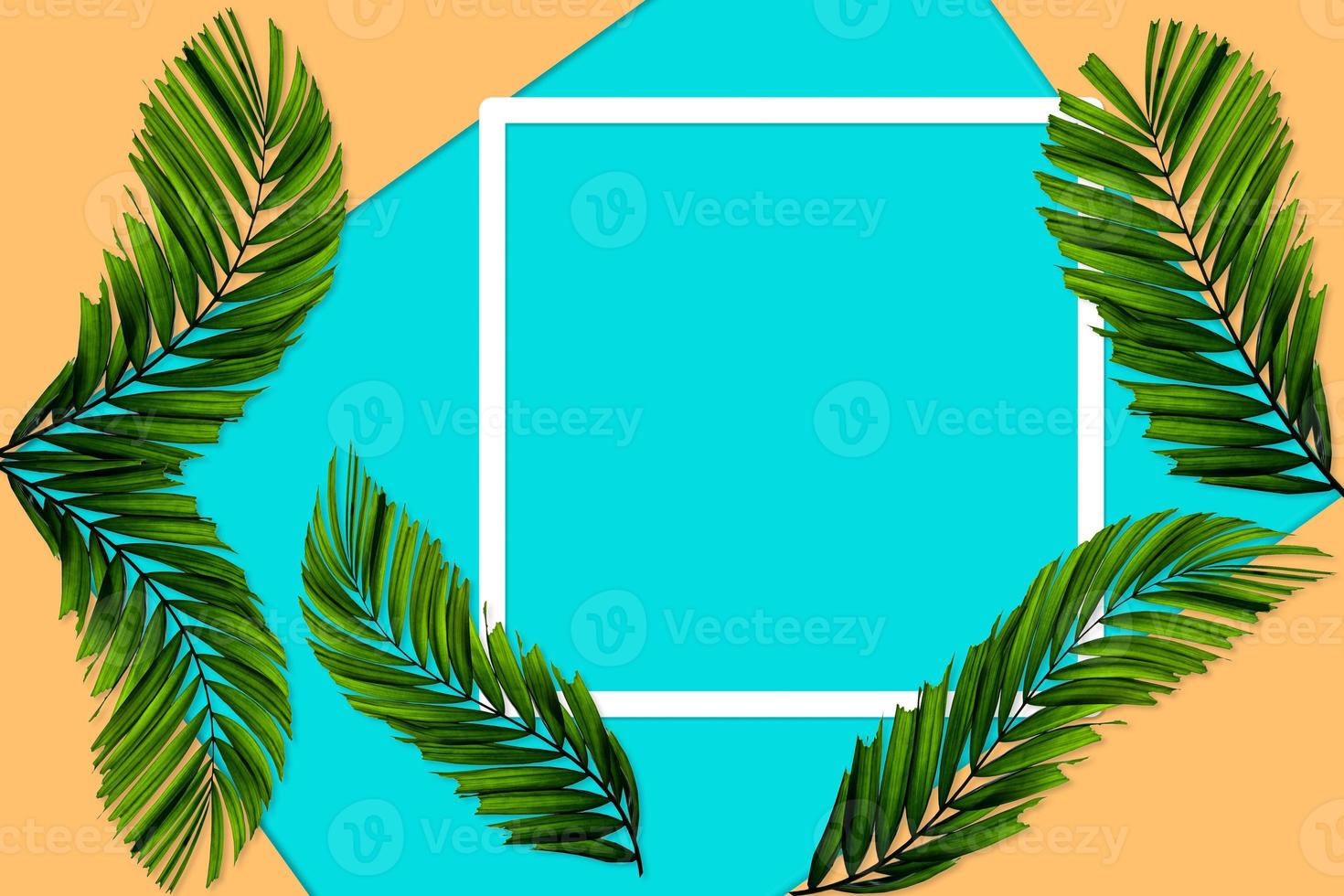 Green palm leaves pattern for nature concept,tropical leaf on orange and teal paper background photo