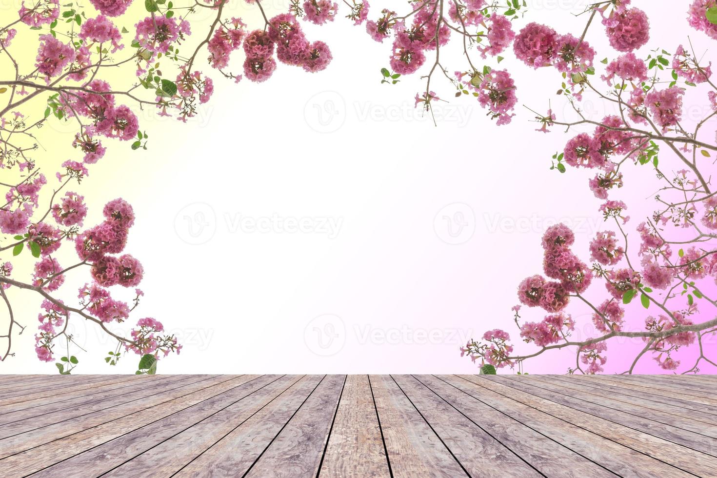 Top desk with pink trumpet flower,wooden table photo