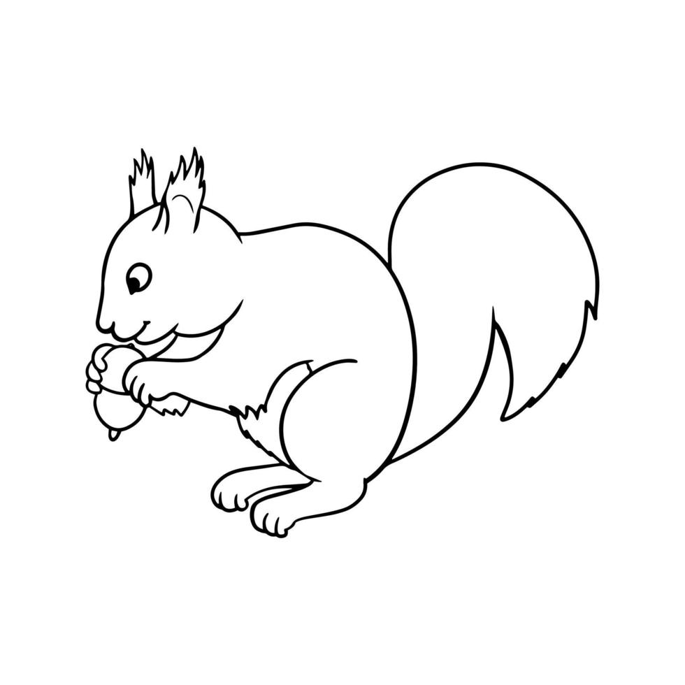 Monochrome picture, fluffy squirrel sitting and gnawing a nut, vector illustration in cartoon style on a white background