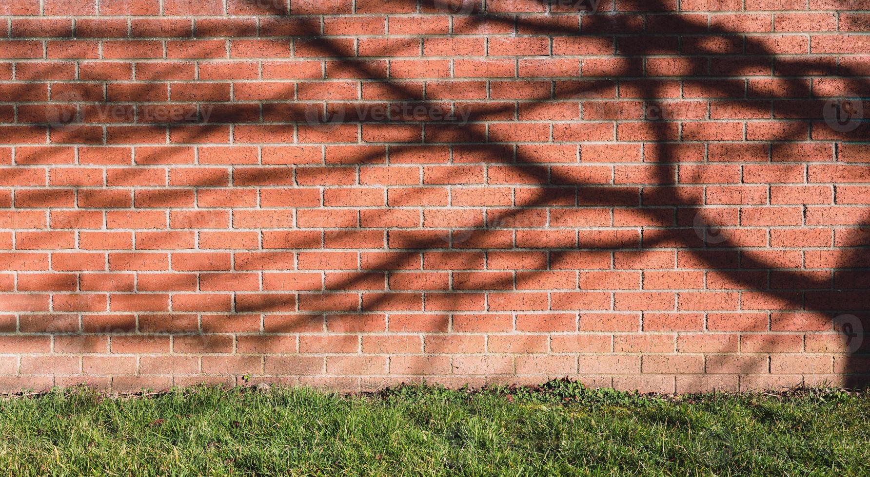 Brick wall textured with shadow of branches tree and lawn grass floor on Spring, Surface Red or Dark Brown block wall with light and shadow with meadow photo