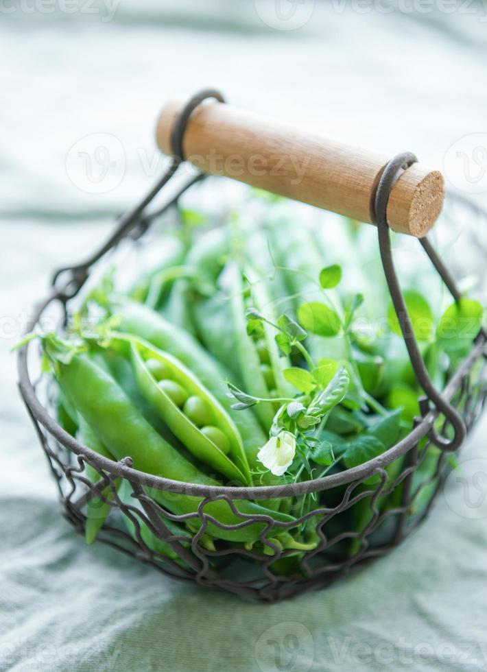 Basket with sweet pea pods photo
