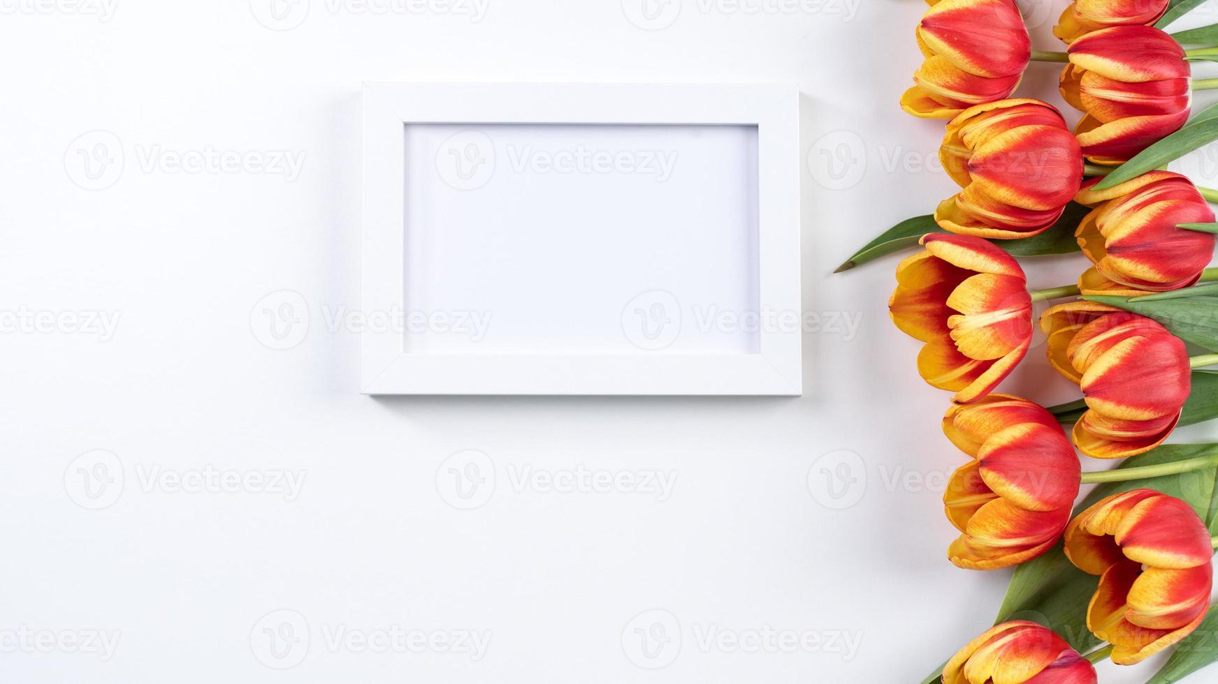 Mother's Day background, tulip flower bunch - Beautiful Red, yellow bouquet isolated on white table, top view, flat lay, mock up design concept. photo