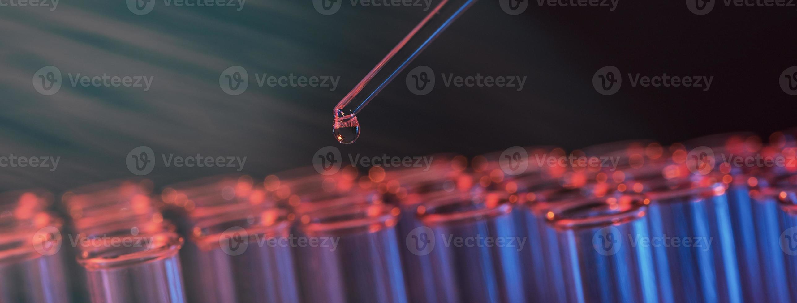 Test tube row. Concept of medical or science laboratory, liquid drop droplet with dropper in blue red tone background, close up, macro photography picture. photo