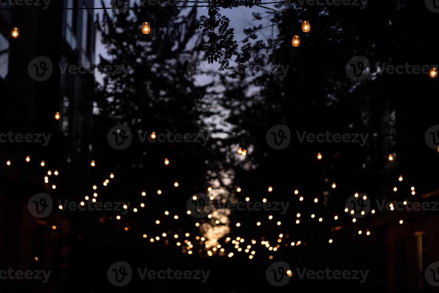 String of Lights photo
