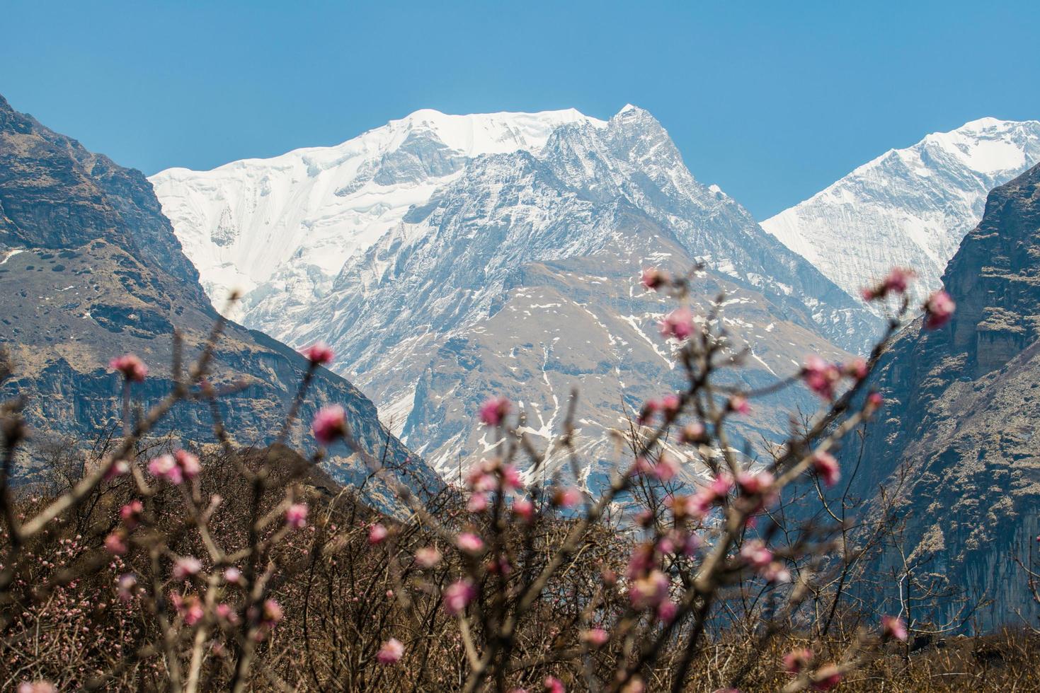 Mt.Ganga Purna during trekking in Annapurna sanctuary in Nepal. The Annapurna Sanctuary is a high oval-shaped glacial basin surrounded by the Annapurna massif. photo