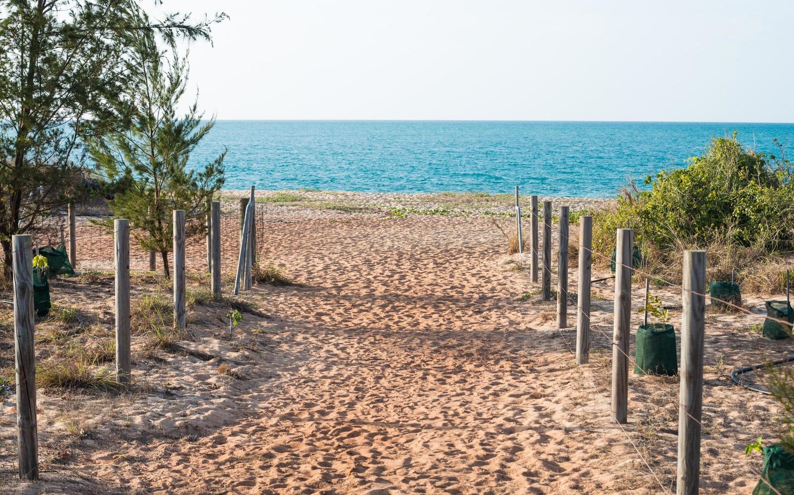 The beach in Nhulunbuy town of Arnhem land in the Northern Territory state of Australia. photo