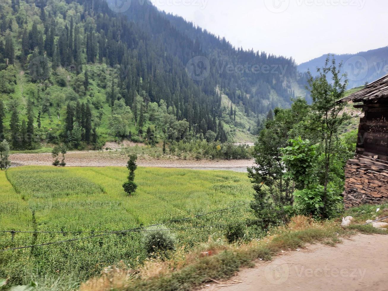 Kashmir is the most beautiful region in the world which is famous for its green valleys, beautiful trees, high mountains and flowing springs. photo
