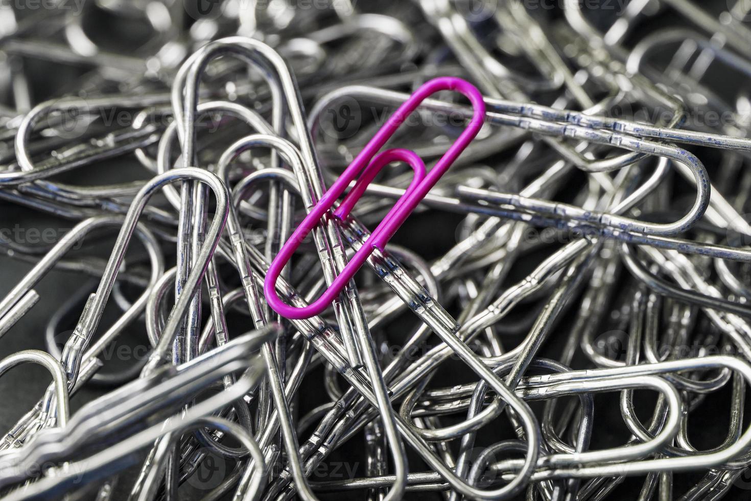 A pink paper clip stands out against a textured background of silver paper clips photo