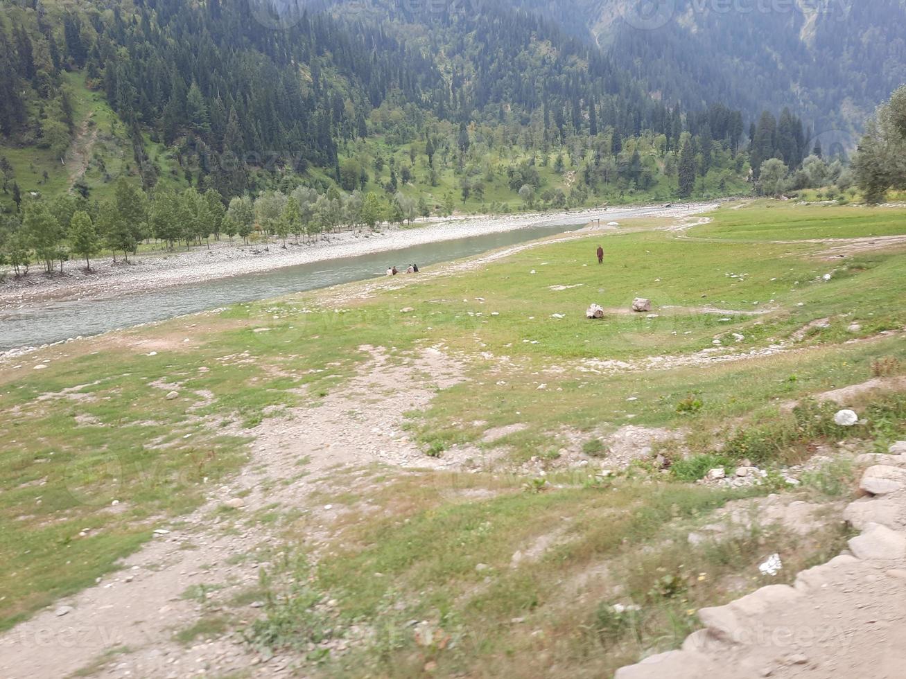 Kashmir is the most beautiful region in the world which is famous for its green valleys, beautiful trees, high mountains and flowing springs. photo
