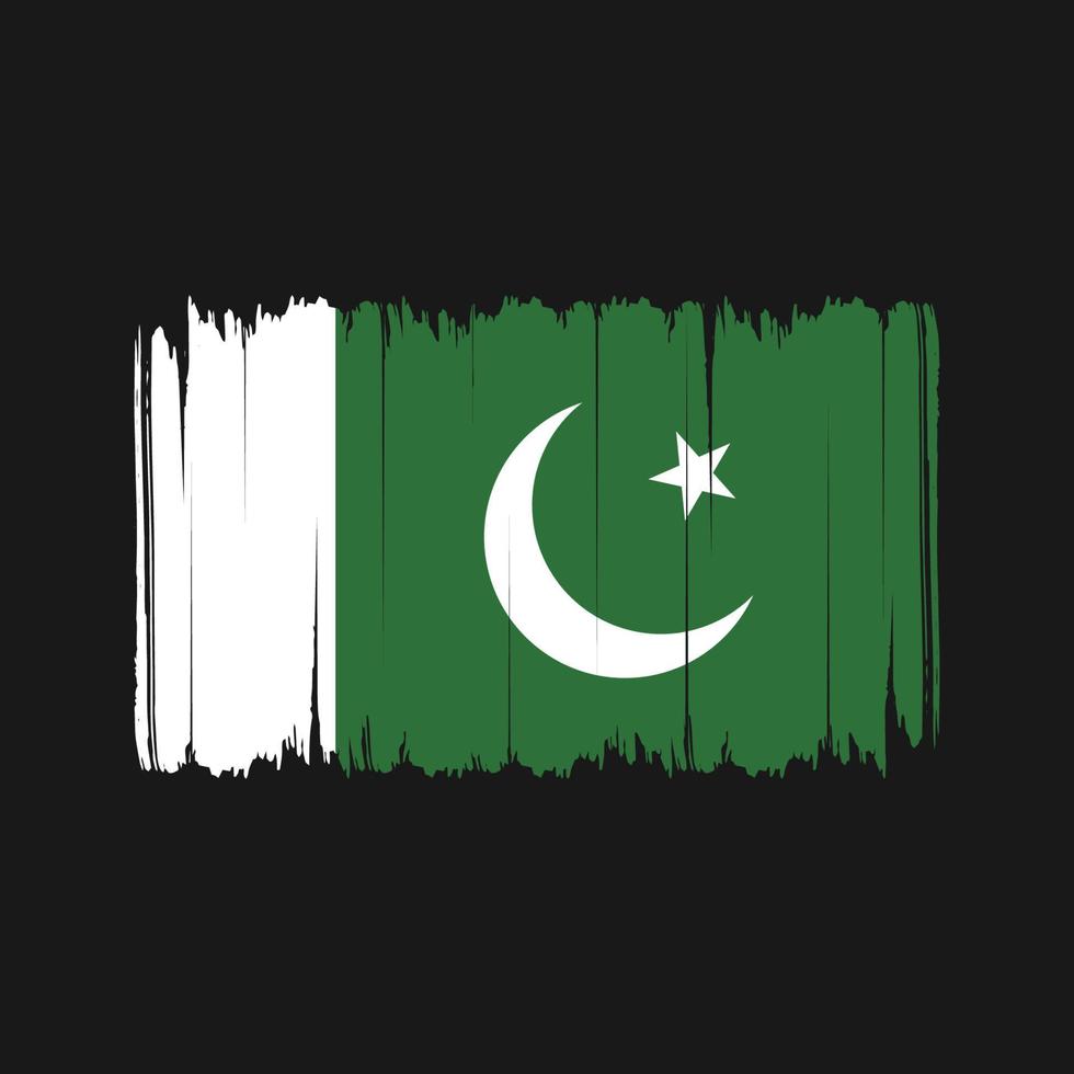 Pakistan Flag Brush Strokes. National Flag vector